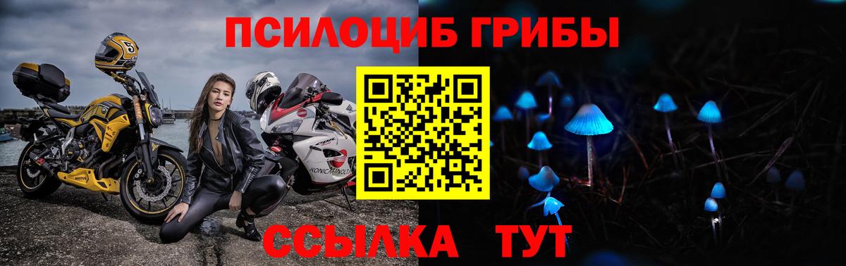 Клин  Галлюциногенные грибы Magic Shrooms  Вход с VPN 